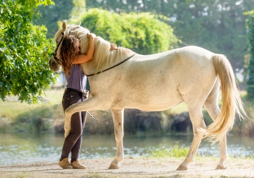 importance-of-equine-vaccines-banner