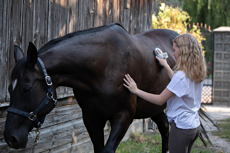 Establishing-a-Grooming-Routine-strip1