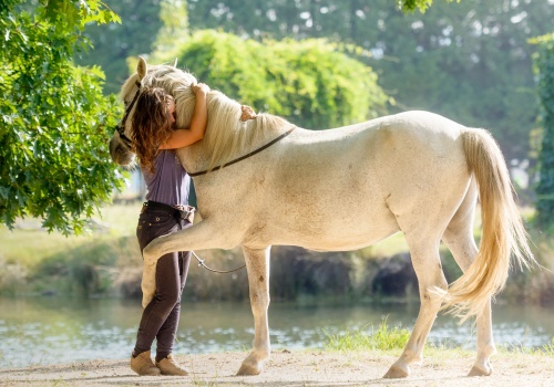 just-horsing-around-5-fun-facts-about-horses-banner