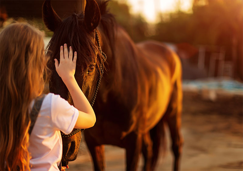 preparing-your-horse-for-disaster-tips-from-a-trusted-equine-veterinarian-strip3